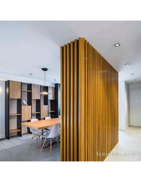 Puck L Recessed Ambiente