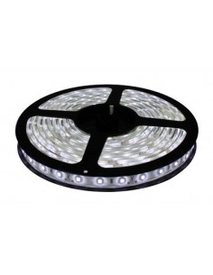 Tira LED -  30 LED/M - 5050 2