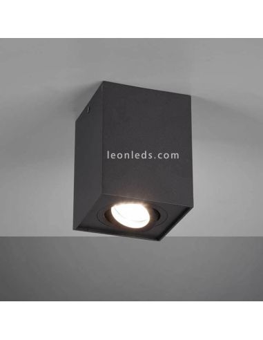 Spot carré Biscuit noir Trio | LeonLedlighting