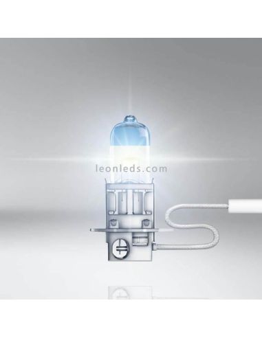 Ampoules H3 Night Breaker