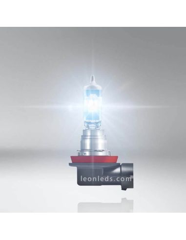 Bombillas H8 Night Breaker Laser