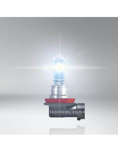 Bombillas H11 Night Breaker Laser