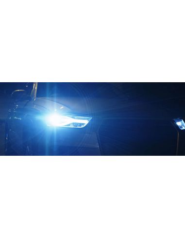 Lâmpadas brancas de xenônio Philips WhiteVision | Lâmpadas Leon Leds White Xenon