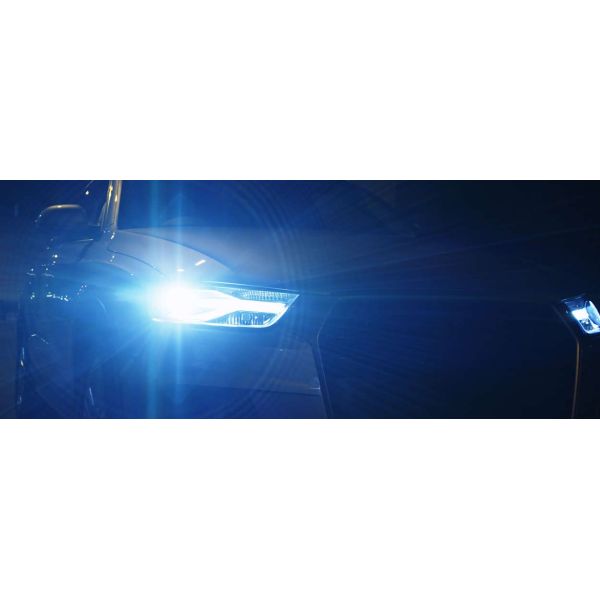 Ampoules blanches au xénon Philips WhiteVision | Ampoules Xénon LeonLeds Blanches