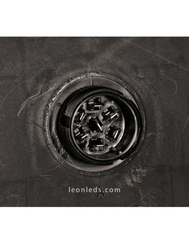 Conector Piloto Trasero LED Aspock Ecoled