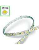 Tira LED -  30 LED/M - 5050