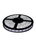 Tira LED -  30 LED/M - 5050