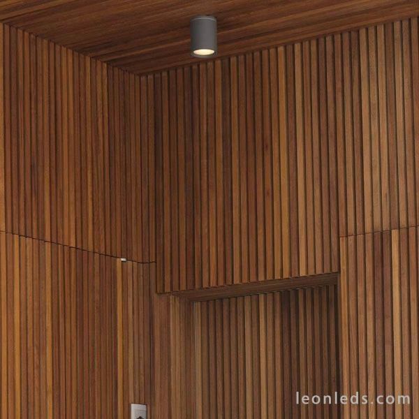 Plafón moderno de exterior gris oscuro redondo Tasa 70806 de Faro Barcelona | LeonLeds Iluminación