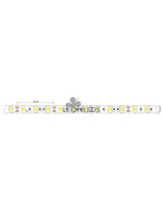 Tira LED 12V IP65 5050 60Led/m y 14,4W/m Tira LED | LeonLeds Iluminación 2