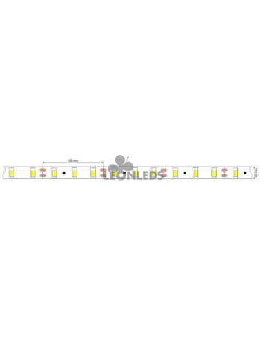 Tira LED 5630 12V IP20 60Led/m y 16W/m 5 Metros | LeonLeds