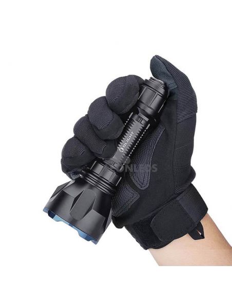 Olight Warrior X Turbo Kit de chasse avec lampe de poche LED Mallette | avec cordon et clip | Éclairage Led Lion