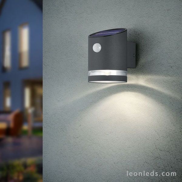 Aplique LED Solar con sensor de movimiento IP44 Antracita Salta Trio Lighting R22231142 | LeonLeds