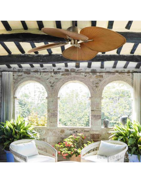 Ambiente de Ventilador de Techo oro viejo Cuba 33352B | LeonLeds