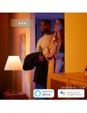 Lámpara de techo LED Ensis Hue 2X39W 4090331P9 Philips Hue | LeonLeds