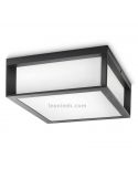 Aplique o Plafón exterior 2 x E27 Skies Philips | LeonLeds Iluminación