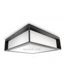 Aplique o Plafón de color antracita para exterior 2 x E27 Skies Philips | LeonLeds Iluminación