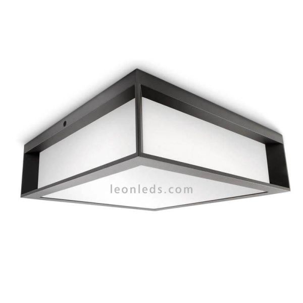 Aplique o Plafón de color antracita para exterior 2 x E27 Skies Philips | LeonLeds Iluminación