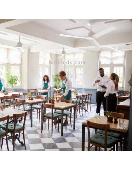 Anne LED- Ventilador mit weißen Flügeln und Gleichstrommotor