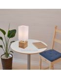 Lámpara de mesa de madera y color blanca Woody foto de ambiente marca Trio Lighting | LeonLeds