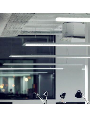 Plusieurs plafonniers blancs Slimgot d'Arkoslight dans un bureau | LeonLeds.com