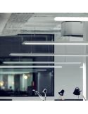 Varias lámparas de techo blancas Slimgot de Arkoslight en oficina | LeónLeds.com