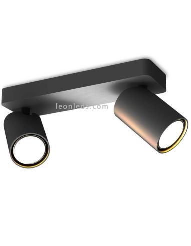 Réglette plafond avec 2 Spots...