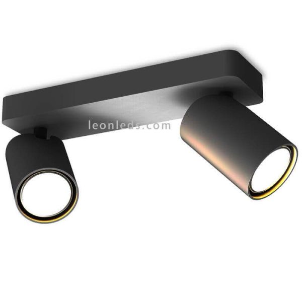 Réglette plafond avec 2 Spots...