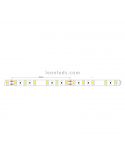 Tira LED 5630 18W/m 24V IP20 5Metros 100Lm/w dimensiones