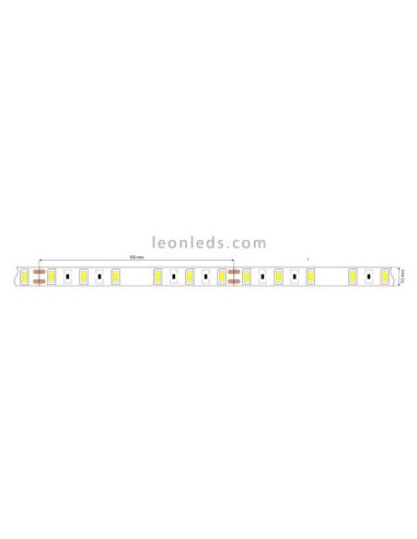 Tira LED 5630 18W/m 24V IP20 5Metros 100Lm/w dimensiones
