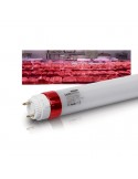 Tubo LED Megalux Meat Carnes Rojas Leds Factory Especial alimentación de la mejor calidad | LeonLeds