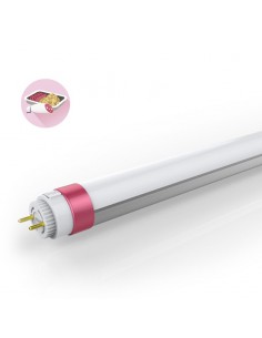 Tubo LED Especial Comida Fresca Carnes Rosa Leds Fábrica Megalux | leonleds
