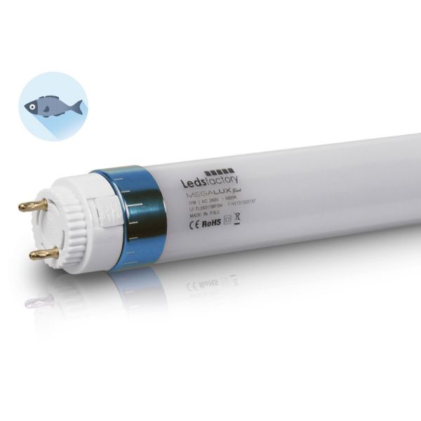 Tubo Megalux Fish - Pescado y Marisco Leds Factroy Especial Alimentación T8 Tonos Grises y Rojos | LeonLeds