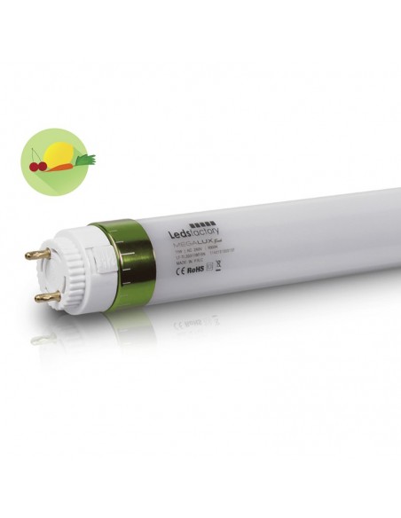 Tubo LED Megalux Fruit Hortalizas Frutas Leds Factory T8 Especial Alimentación | LeonLeds