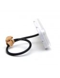 Piloto LED con luz de posición y marcha atrás trasera 1481 R AR 12V 24V de Was | LeonLeds