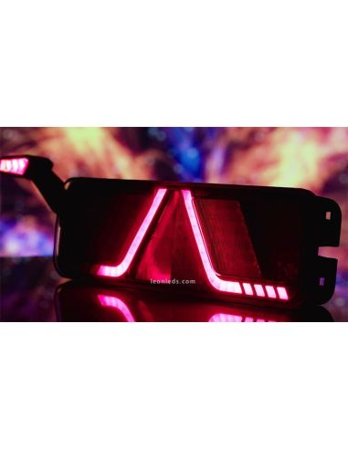 Piloto trasero LED trasero con triangulo con Can Bus incorporado No marca Avería ni DTCs FT-700 | LeonLeds