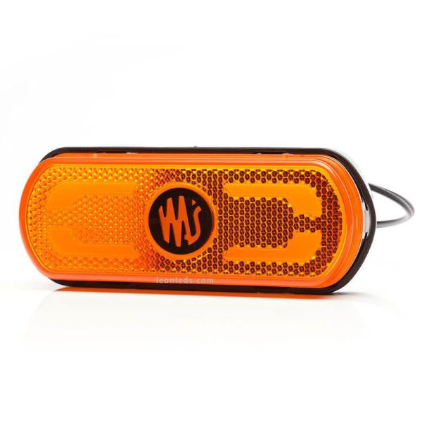 Luz LED âmbar com emblema, ilumina o contorno do veículo no solo 12V-24V Was | leonleds