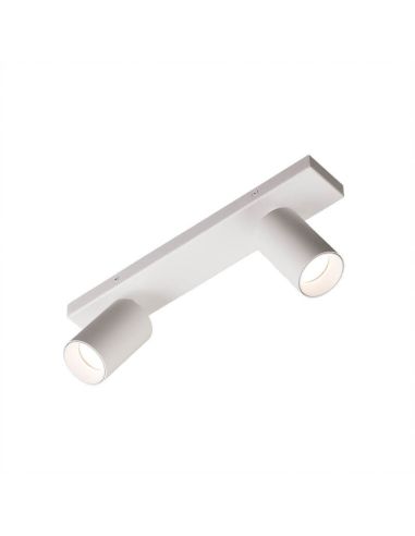 Plafón Gina 2 luces blanco | LeónLeds