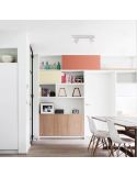 Plafón Gina 2 luces blanco ambiente | LeónLeds