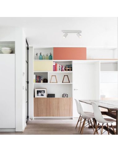 Candeeiro de tecto Gina 2 luzes branco ambiente | LeonLeds