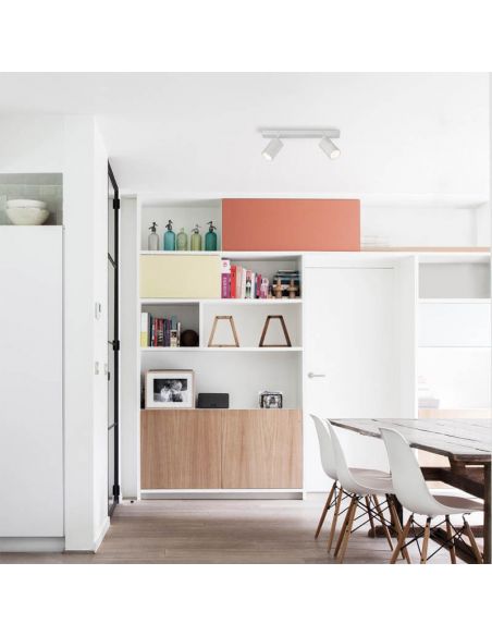 Plafón Gina 2 luces blanco ambiente | LeónLeds