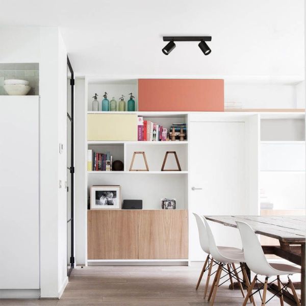 Plafón Gina 2 luces negro ambiente | LeónLeds