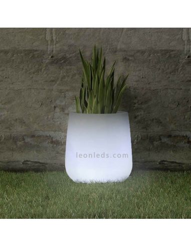 Macetero LED redondo pequeño Camelia 40 solar ambiente