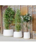 Macetero LED grande Camelia 80 con luz blanca ambiente