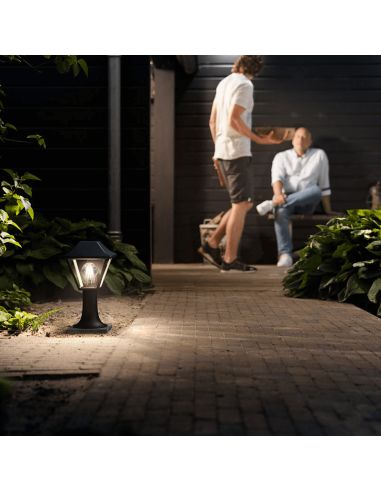 Baliza sobremuro/pie negro Alpenglow ambiente