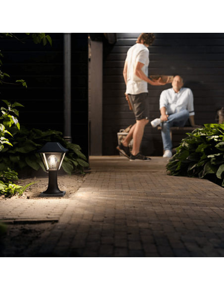 Baliza sobremuro/pie negro Alpenglow ambiente