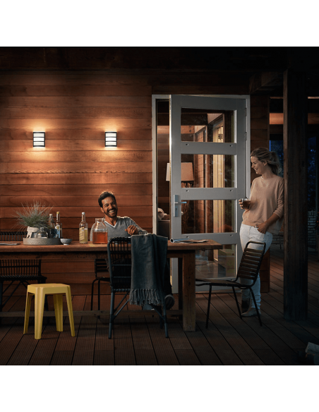 Applique murale extérieure Python anthracite