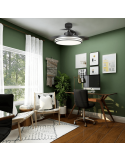 Ventilador de techo LED regulable Louis negro DC ambiente