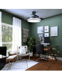 Ventilador de techo LED regulable Louis negro DC luz fría