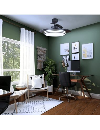 Lumière froide de ventilateur de plafond à DEL à intensité variable Louis Black DC