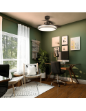 Ventilador de techo LED regulable Louis negro DC luz caliente